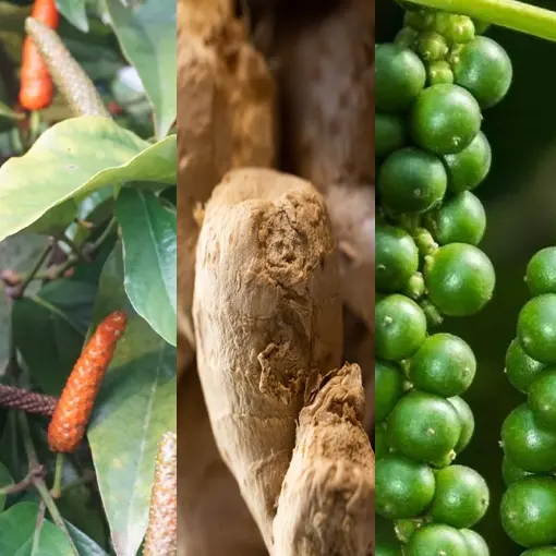 Organic Trikatu Extract